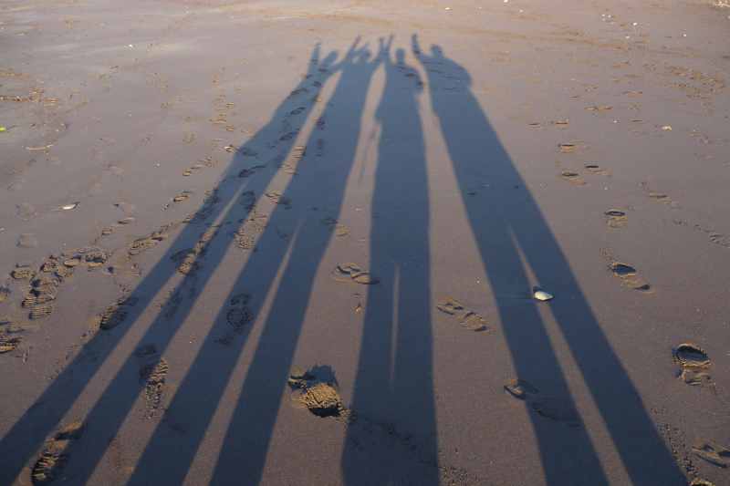 Nieuw-Zeeland 2011 - 1340